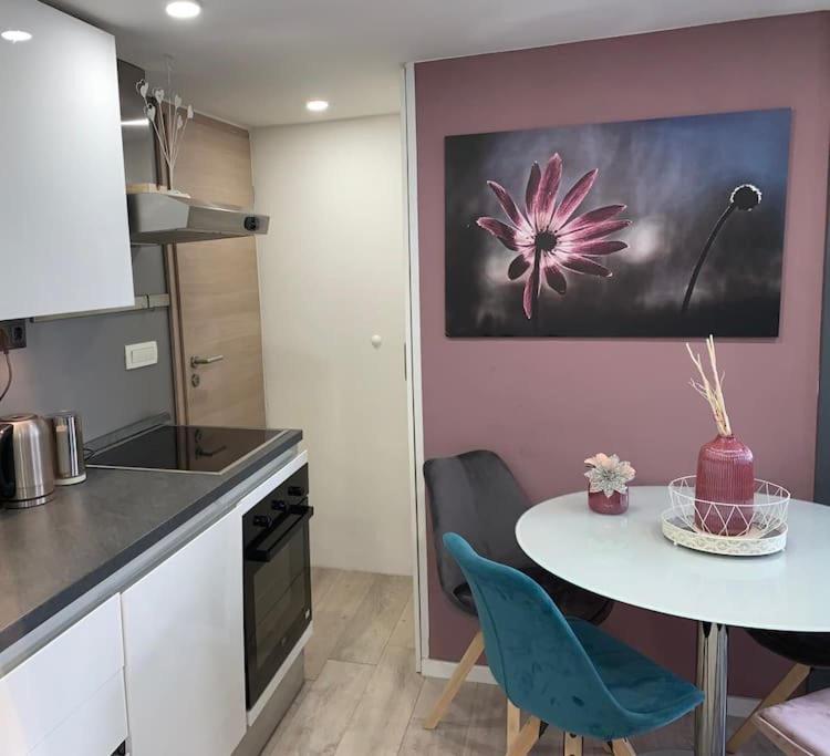 Nice Apartmet N&N Daire Zadar Dış mekan fotoğraf